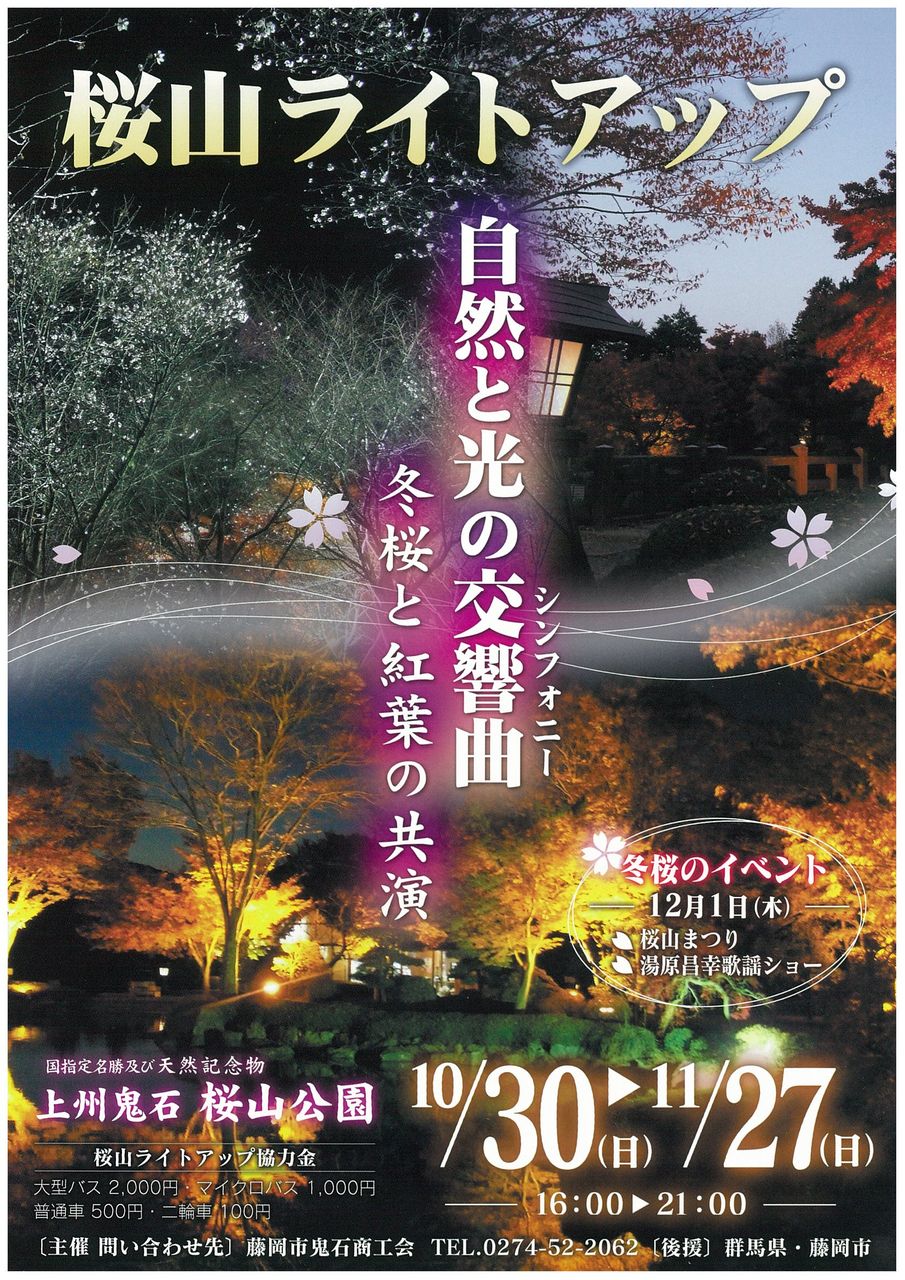 桜山ライトアップが１０月３０日から始まります 藤岡市鬼石商工会のスタッフブログ