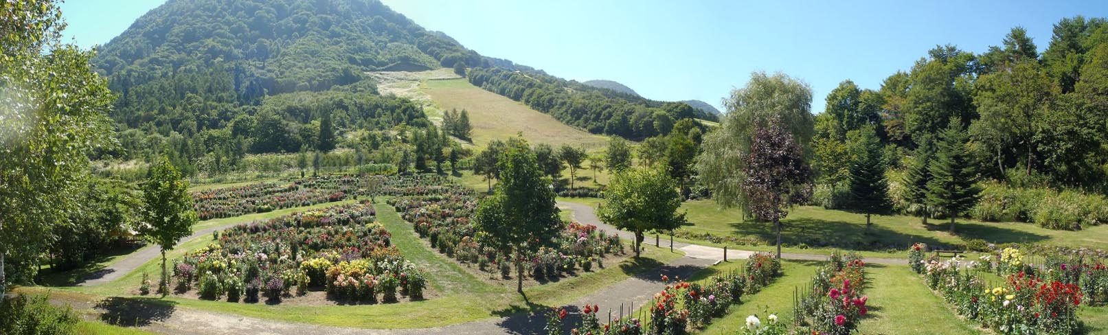 木島平やまびこの丘公園 ダリアまつり 花展 コンサート お庭工房のわいわい日記 新潟県上越市