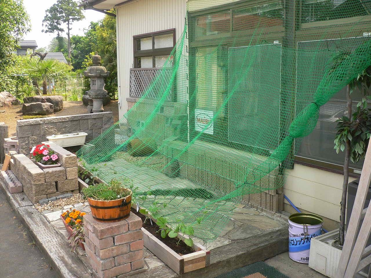 グリーンカーテン お庭工房のわいわい日記 新潟県上越市