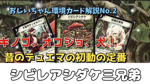 No.2】ライフと並ぶ初動の定番、シビレアシダケ三兄弟【おじいちゃん