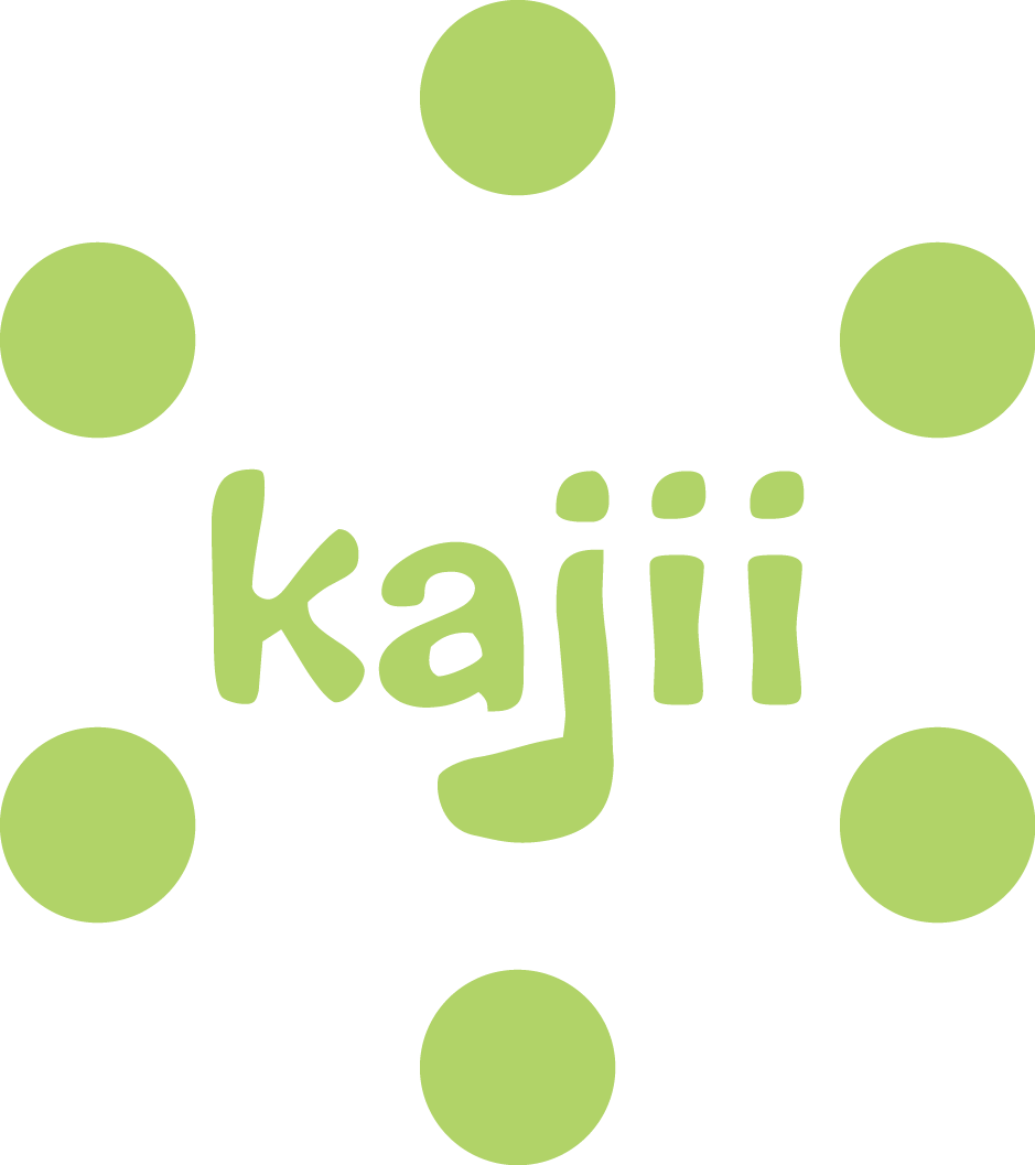 手作り楽器 Kajiiのブログ 手作り楽器 Kajiiのブログ