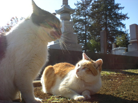 DSCN4321