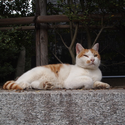 P1010001
