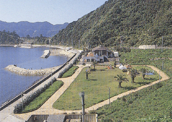 日振島