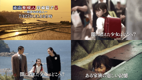 藤川心優(ふじかわみゆ)「遺品整理人 谷崎藍子5」