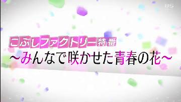 C級hack シクハック こぶしファクトリー