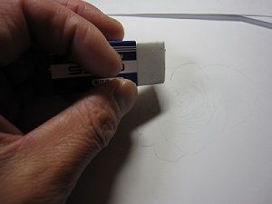 IMG_2819