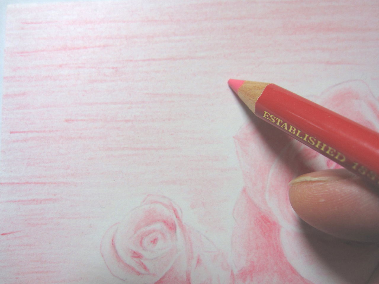 色鉛筆画 基本 Step 7 バック 背景 を描く