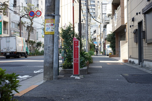 DSC09061