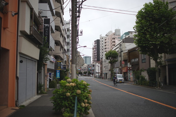 DSC00353
