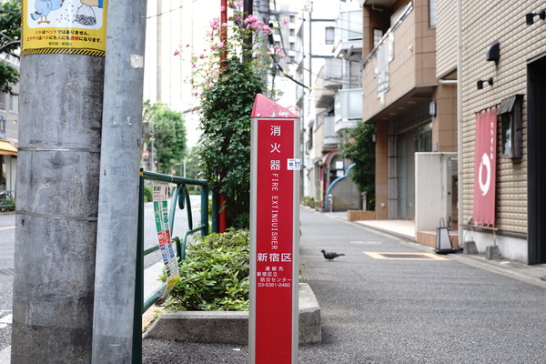 DSC09823