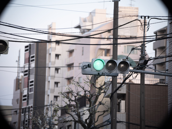 Vario-Sonnar100-300mm 300mm
