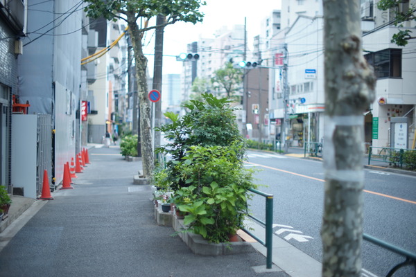 DSC00065