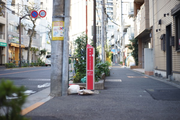DSC09854