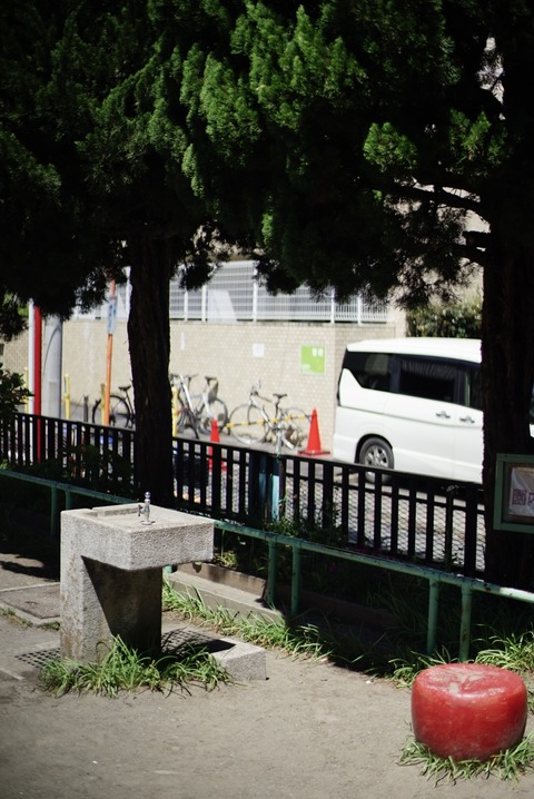 DSC03570