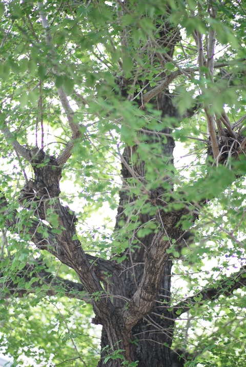 DSC03464