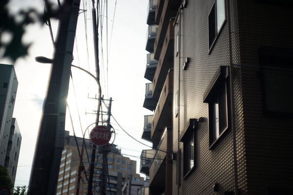 DSC09951
