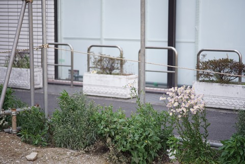 DSC03472