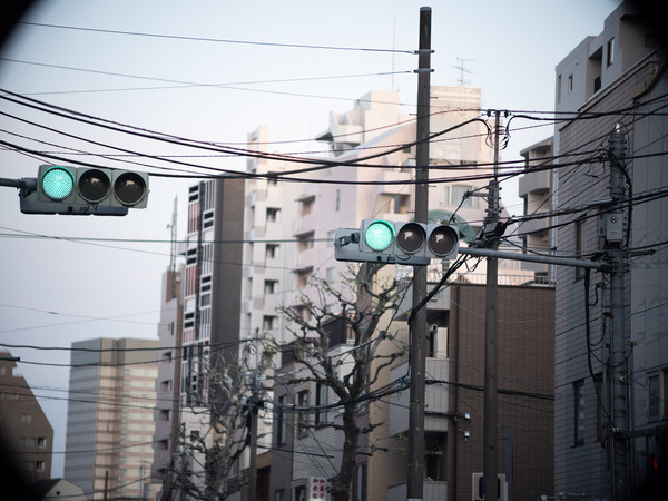 Vario-Sonnar 80-200mm 200mm