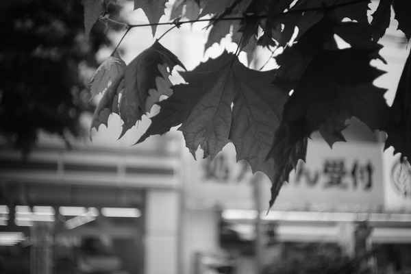 DSC00197