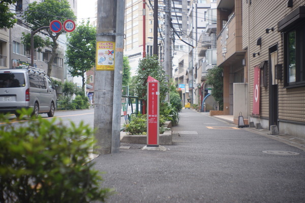 DSC00199
