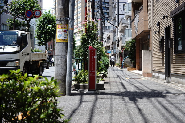 DSC09911
