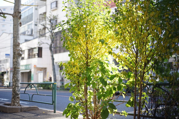 DSC09056