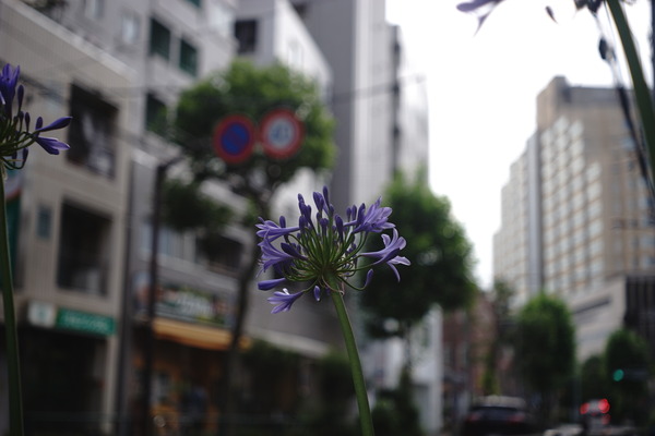 DSC00180