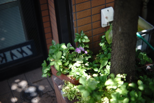 DSC09908