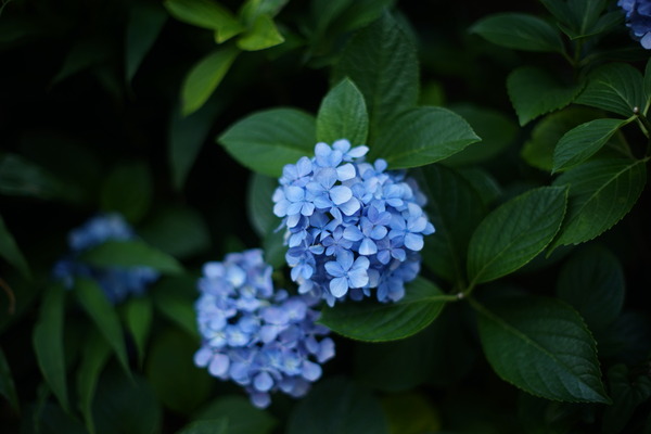 DSC00105