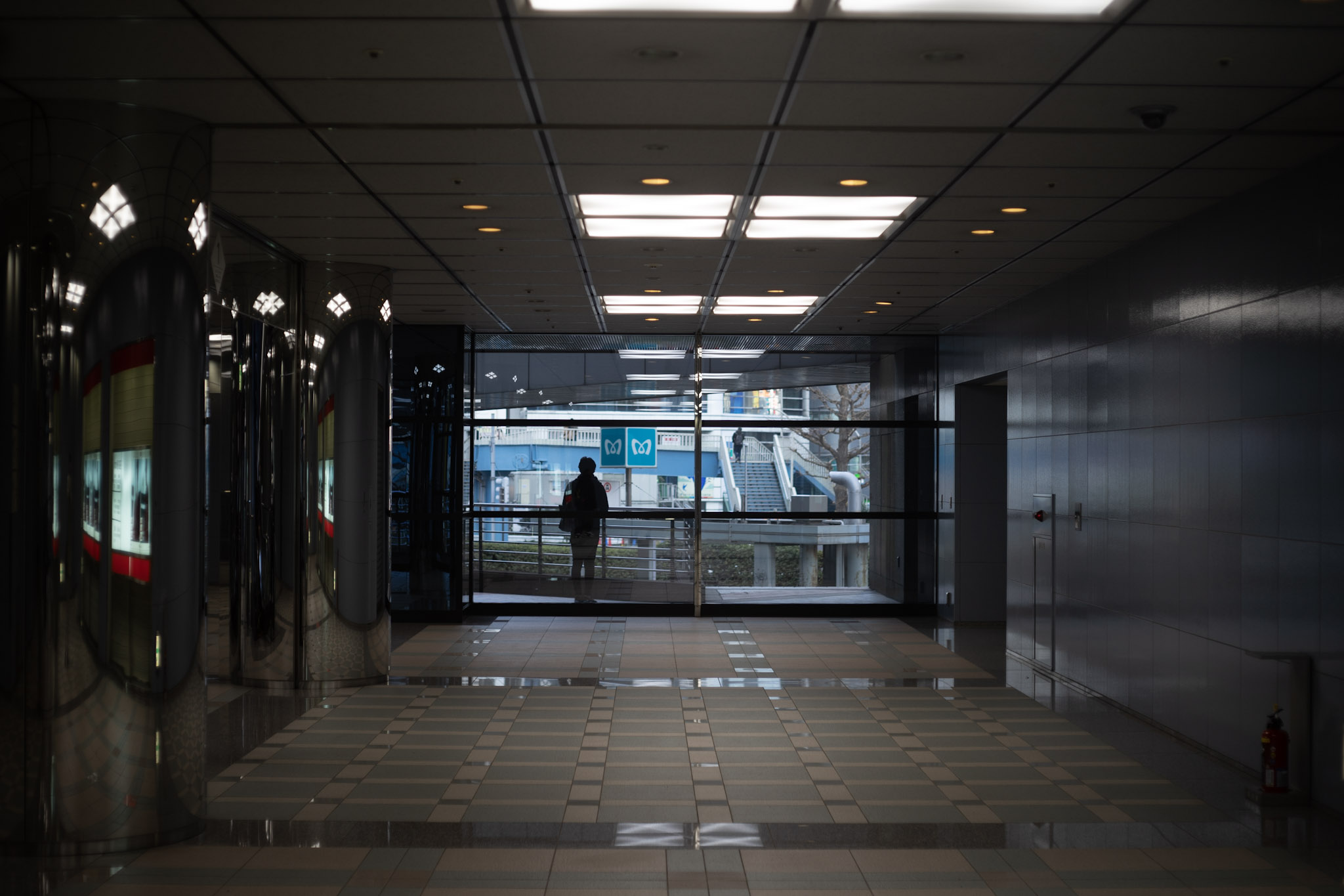 SEPTON 50/2というレンズ。 : 極楽堂新米社員のヲタな物言い