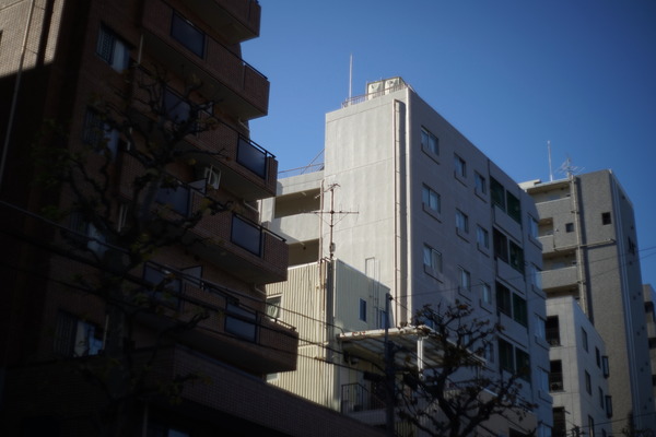 DSC09849