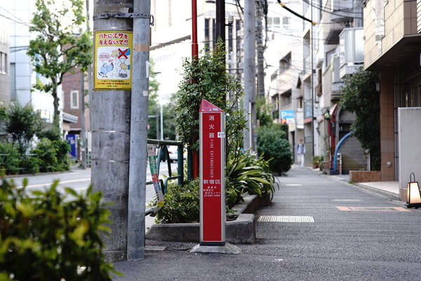 DSC07085