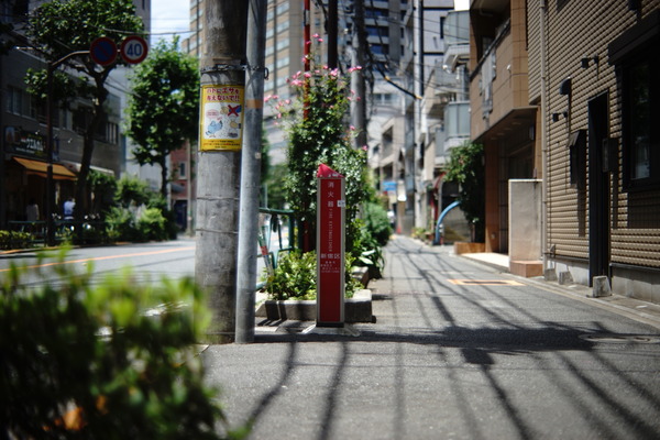 DSC09912