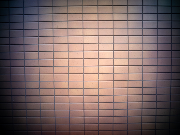IMG_3914
