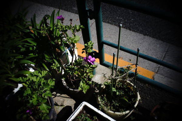 DSC09922