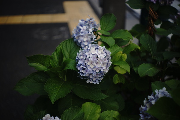 DSC00193