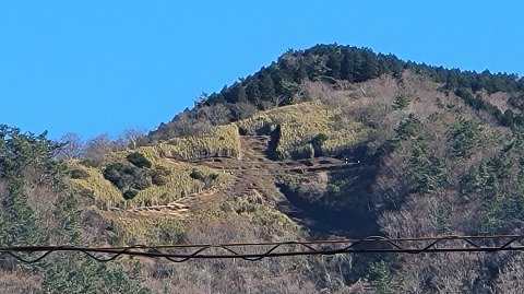 14-1113 (3)