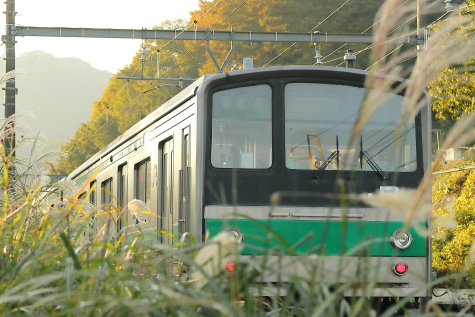 【高額売筋】 小名路踏切でEF64-1031号機+205系ハエ28編成廃車回送を撮る アイドル