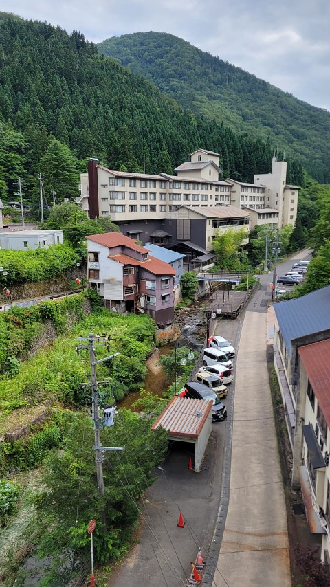 08-1510 (6)