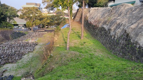 28-1645 (13)