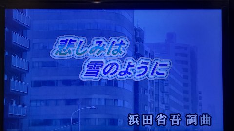 非売品ヴィンテージ歌いにおいでよビッグエコーダウンタウン