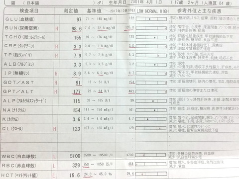 1839 (13)