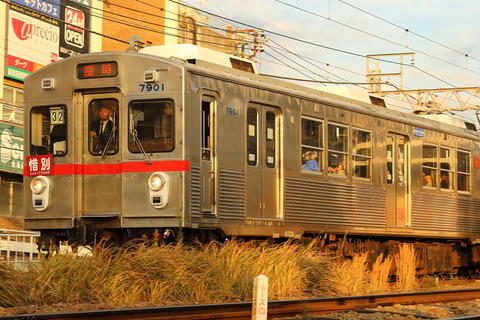 1529 (3)