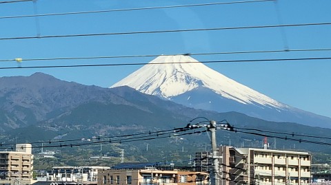 08-0830 (5)