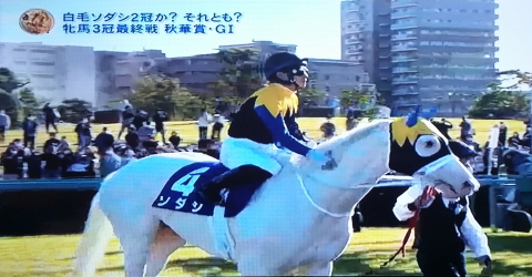 秋華賞のソダシは馬群に沈んで10着 支配人のたららんな日々