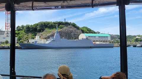 17-1100 (45)