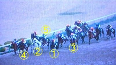 中央競馬ダイジェスト