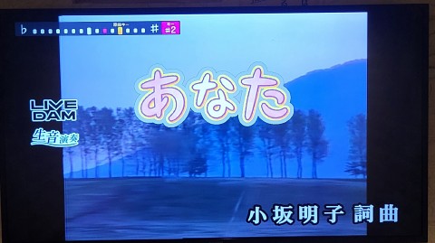 03-2230 (8)
