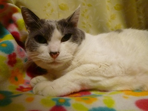 ������������